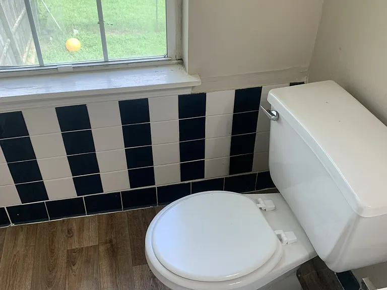 3205 Trotters Walk Cir — Photo 12