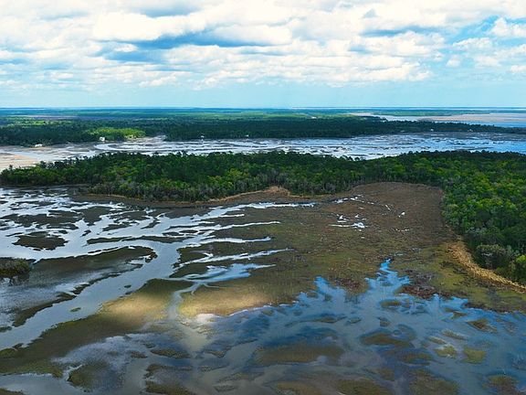 4th image of 0 Simmons Bluff Rd