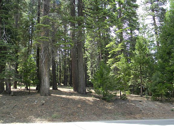 2nd image of 1015 Timber Ridge Rd