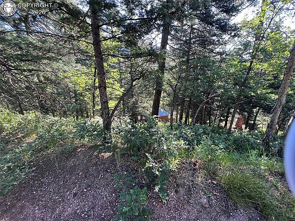 3rd image of 7 Wonder Trl