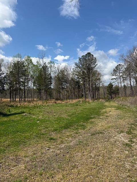 1st image of Calico Rd