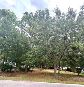 108 Sassafras Ln. #104 Bob Ct, Conway, SC, 29526