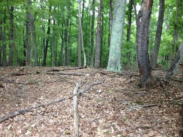 LOT 96 Chestnut Dr, Hardy, VA 24101