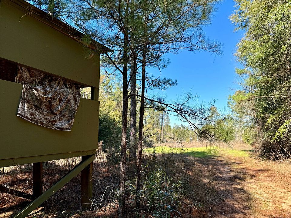 0 Skinner Mill Rd, Peterman, AL 36471 Zillow