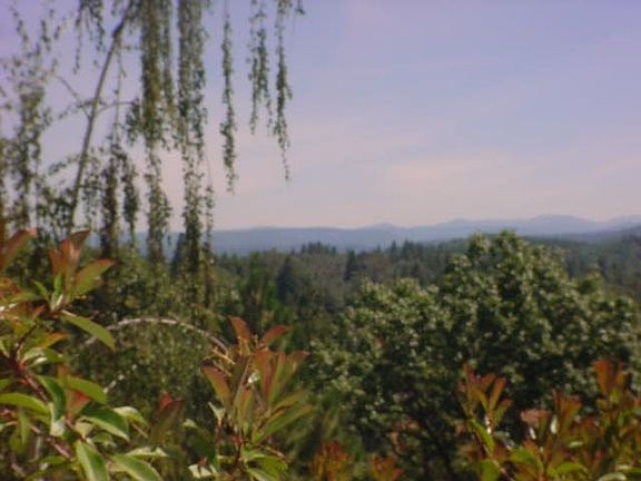 Sierra Snow Cap Views