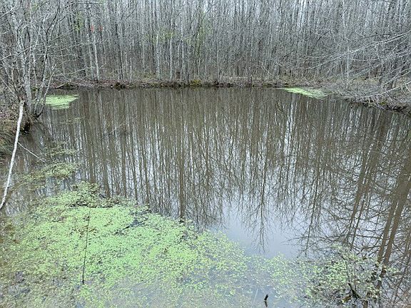 5th image of 6530 Short Mountain Rd
