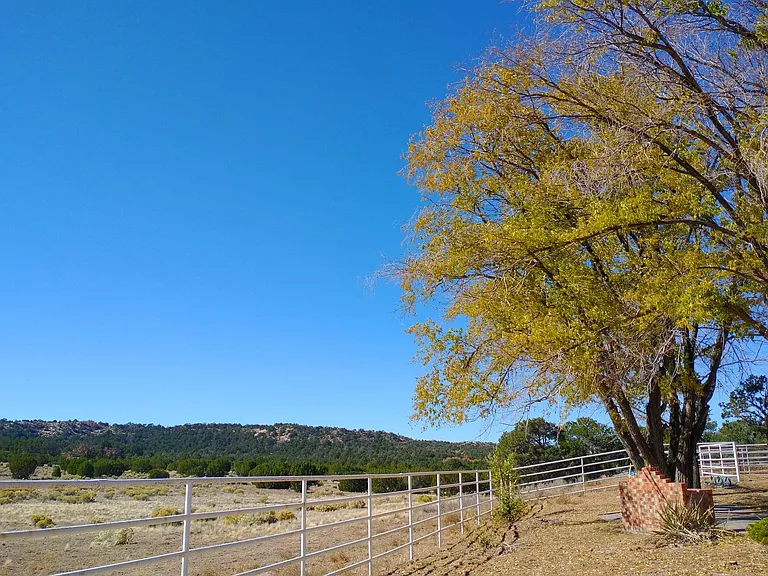 Cousins Rd — Photo 10