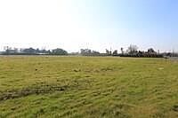 4th image of 7825 Robinette Rd