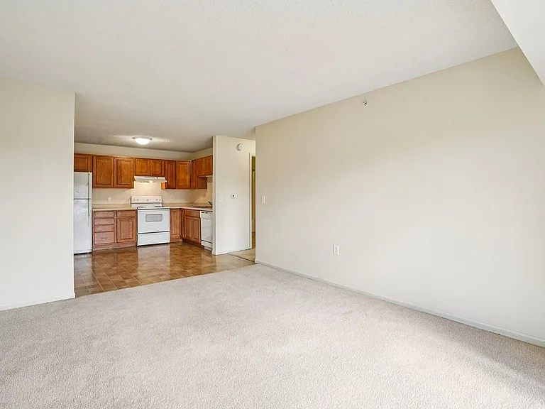 Willow Ridge — Photo 12