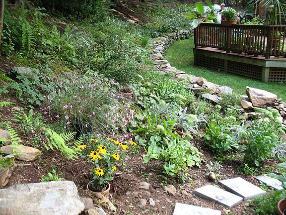 Back Garden, Wall, & Deck