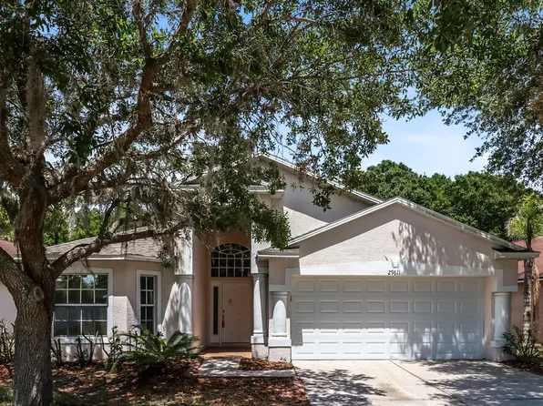 29611 Birds Eye Dr, Wesley Chapel, FL 33543