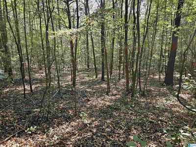 Pleasant Valley Rd #0, Gallant, AL, 35972