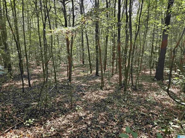 Pleasant Valley Rd #0, Gallant, AL 35972