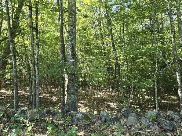 406-17 Guinea Ridge Road, Gilmanton, NH 03237