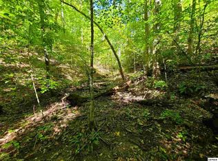 Jones Cove Rd, Cosby, TN 37722