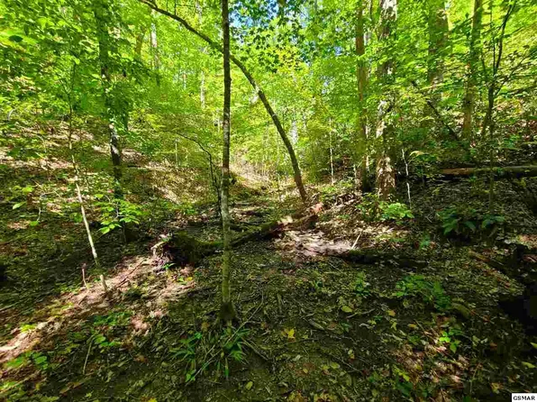 Jones Cove Rd, Cosby, TN 37722