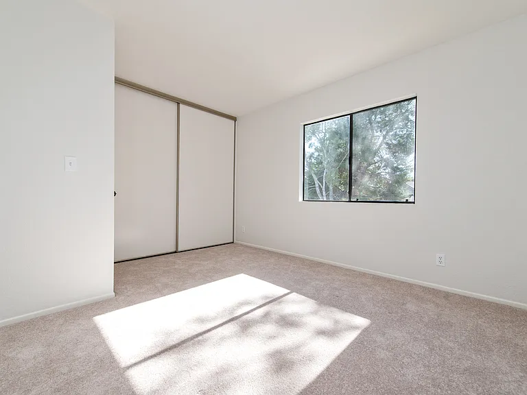 24 Silkberry — Photo 21
