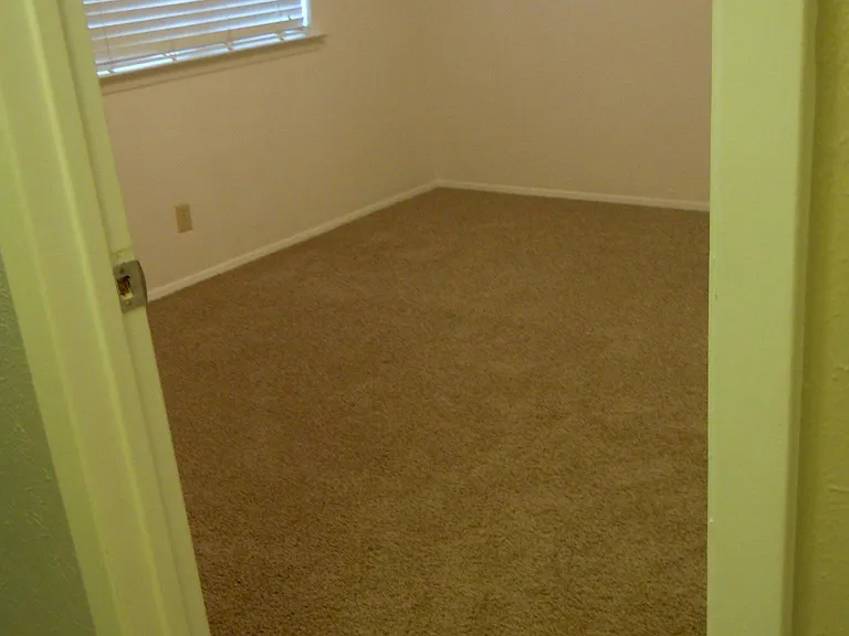 4808 Gray Fox Dr — Photo 19