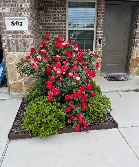 807 Sunrise Ln — Photo 27