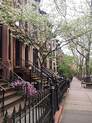 Rented by Francine Realty | media 17