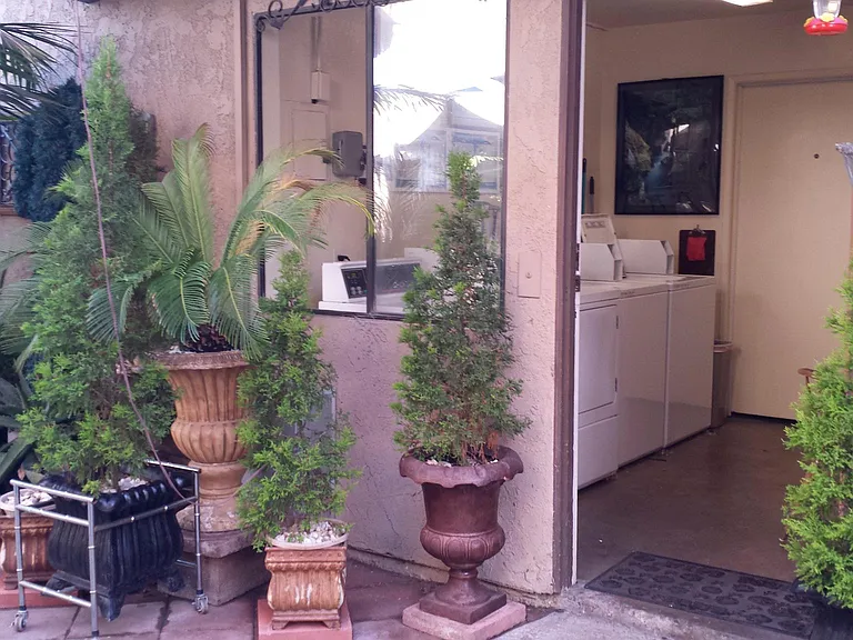 1106 Locust Ave #209 — Photo 18
