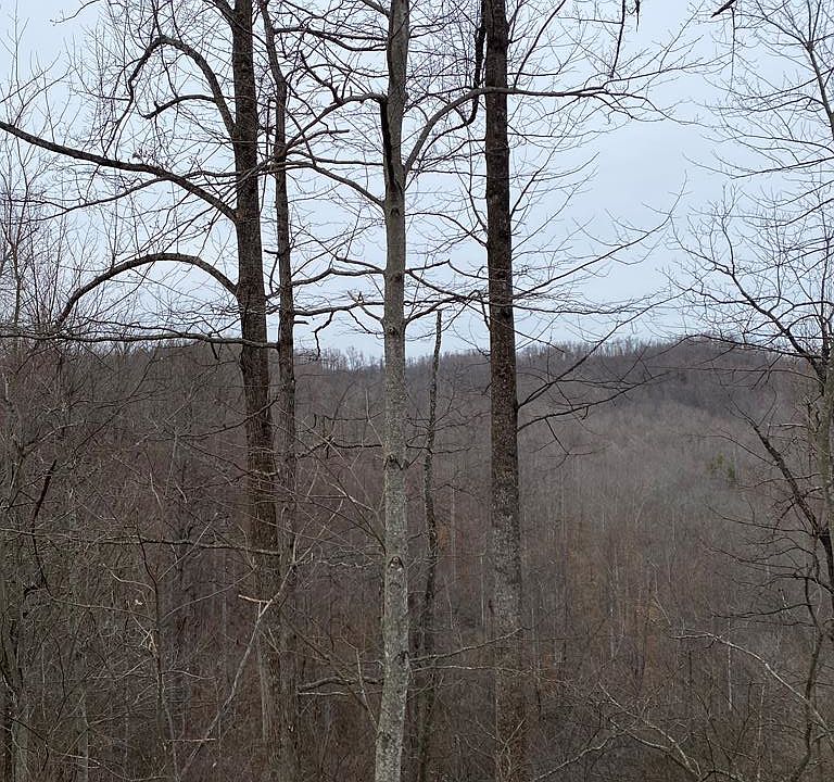 1st image of 0 Alsept Fork Rd