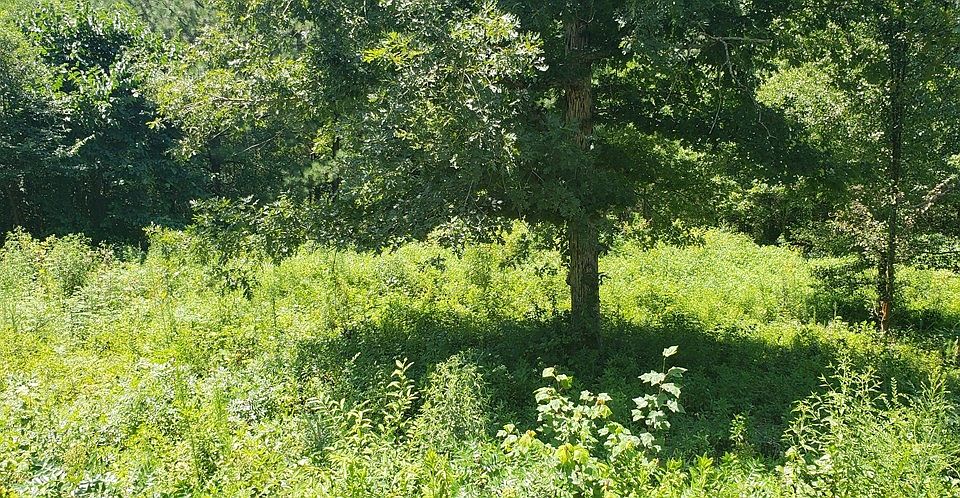 2nd image of 147 Timbervale Dr NW Lot 13-15