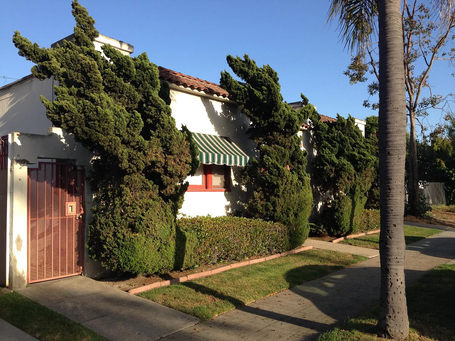 1 bed, 500 sqft, $1,595 — Photo 1