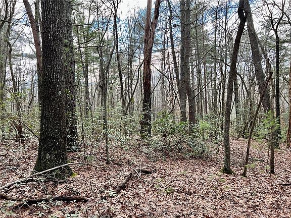 3rd image of 13.3 Oak Ridge Dr #8575