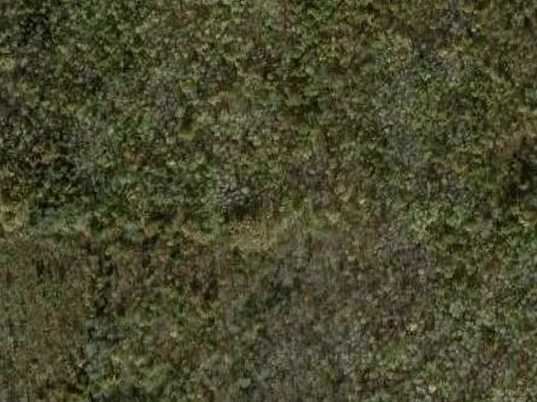 Lewis Rd, Pierpont, OH 44082