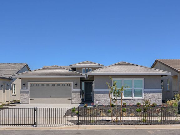 Interior Dolcetto 01 - Elevation