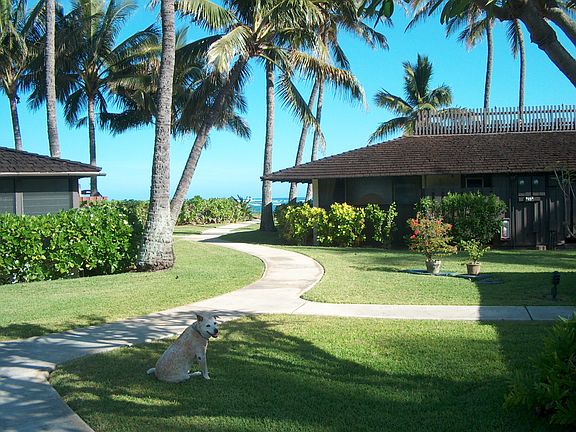 View toward the beach