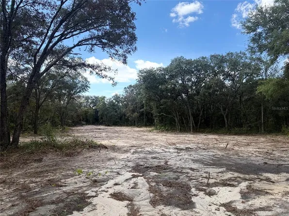 NE 72nd Pl Lot 368, Bronson, FL 32621