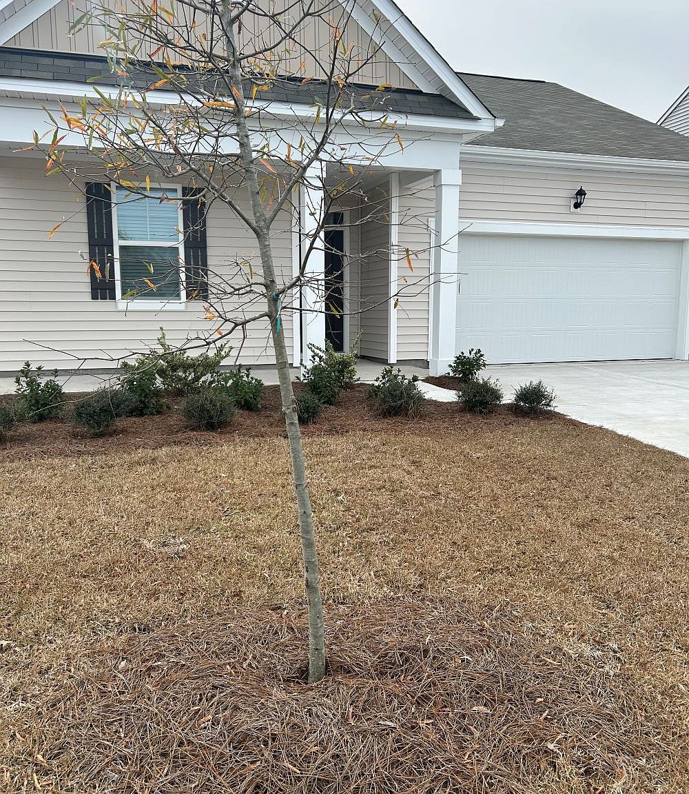 1114 Ridgewood Dr, Conway, SC 29526 Zillow