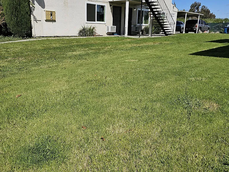 1508 Sycamore Dr #3 — Photo 5