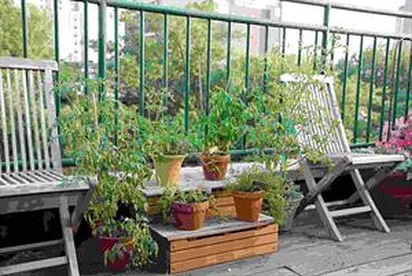 Sold by Douglas Elliman | media 22