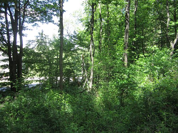 4th image of Collier Dr.-vacant Lot