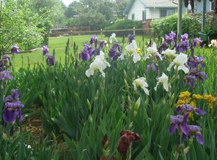 10465 W 35th Ave, Wheat Ridge, CO 80033