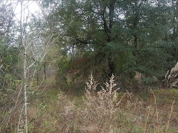 2nd image of 5902 SW County Road 242