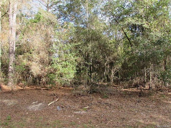 4th image of 8099 N Primrose Dr