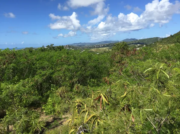 11 Yellow Cliff EB, St. Croix, VI 00820