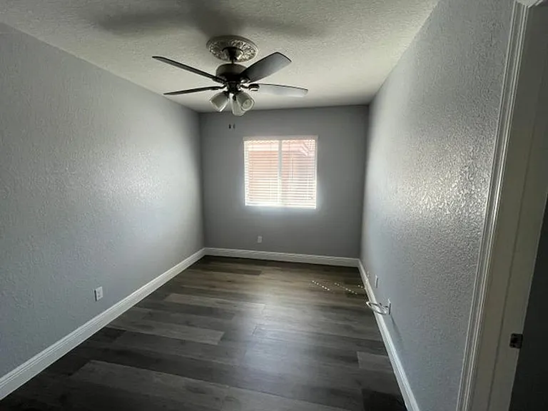 810 Palm Tree Ln — Photo 9
