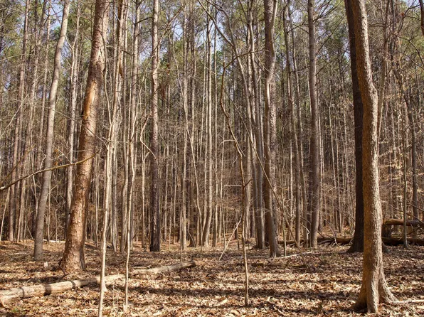 7023 Southern Trl Lot 8, Chapel Hill, NC 27516