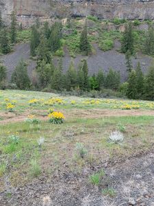 39135 Sterling Valley Road N, Creston, WA, 99147