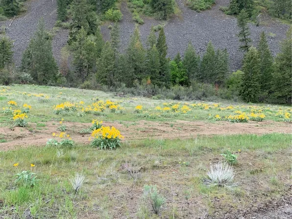 39135 Sterling Valley Road N, Lincoln, WA 99147