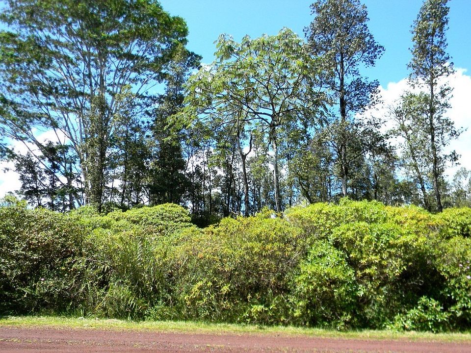 1st image of Tradewind Dr Lot 38