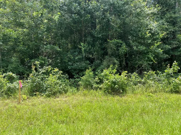 25416 Cambridge Blvd, New Caney, TX 77357