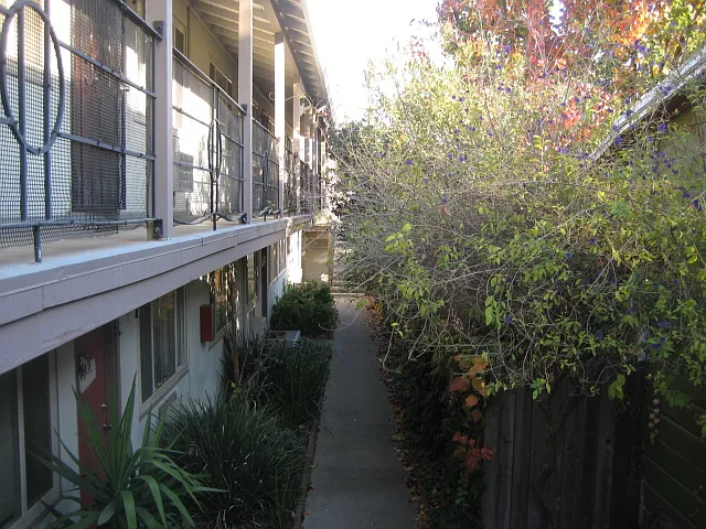 2515 P St #4 — Photo 3