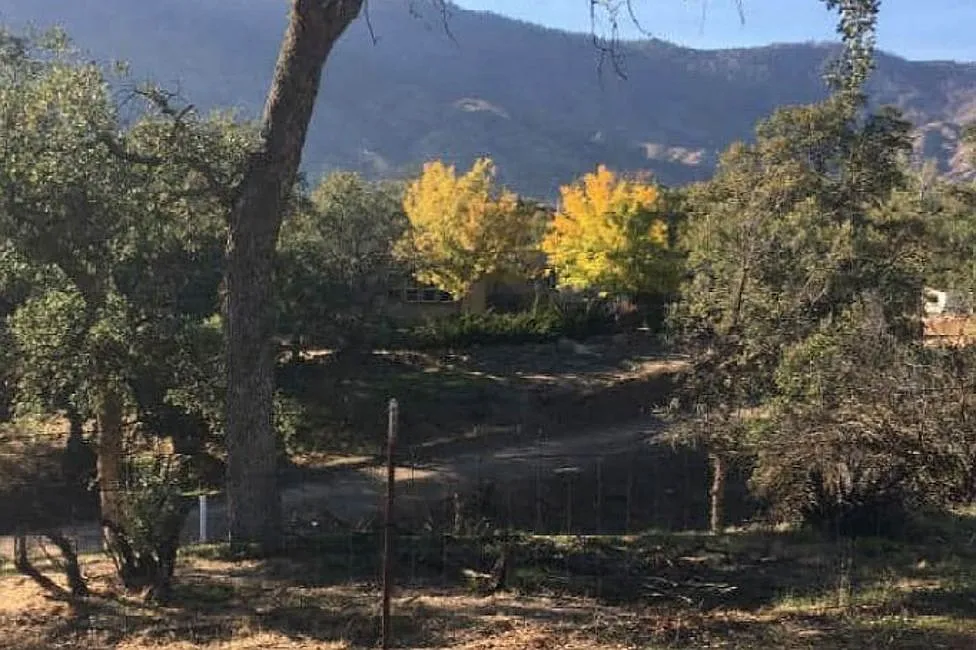 22324 Thompson Canyon Ave photo 1