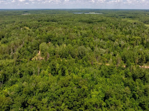 Tbd Miller Lake Rd, Crosby, MN 56441